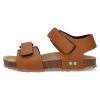 Sandalias - Brown -Zapato Tienda 1bc4cbe57b2249a5baec09339b332a3b