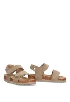 Canalicas - Sandalias - Taupe 10 Canalicas - Sandalias - Taupe -Zapato Tienda 2a1d7720a5d94c91858188a1c1ff1bb4