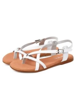 Dedo Tiras Cruzadas - Sandalias - Blanco 7 Dedo Tiras Cruzadas - Sandalias - Blanco -Zapato Tienda 6c97b7eb1e334101a925fdad201e25a5