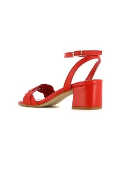 Gaia - Sandalias - Rojo 8 Gaia - Sandalias - Rojo -Zapato Tienda d66006d4aecc47eaa6465faa1335ae05