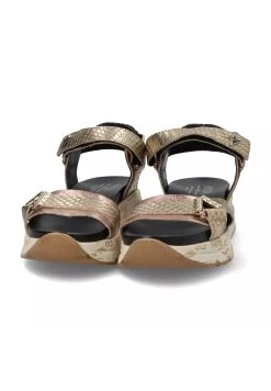 Cetti Sandalias - Oro -Zapato Tienda f806dd01f3194be892c6b184502599b7